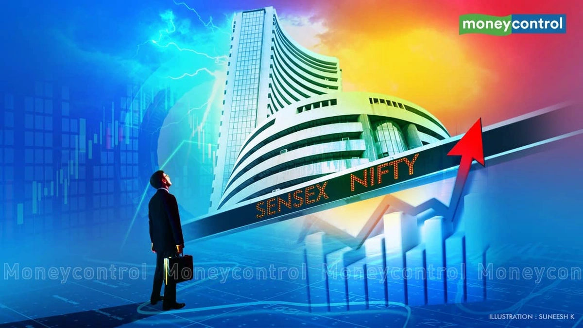 The Sensex Isn't the Whole Story (And Why That's Okay)