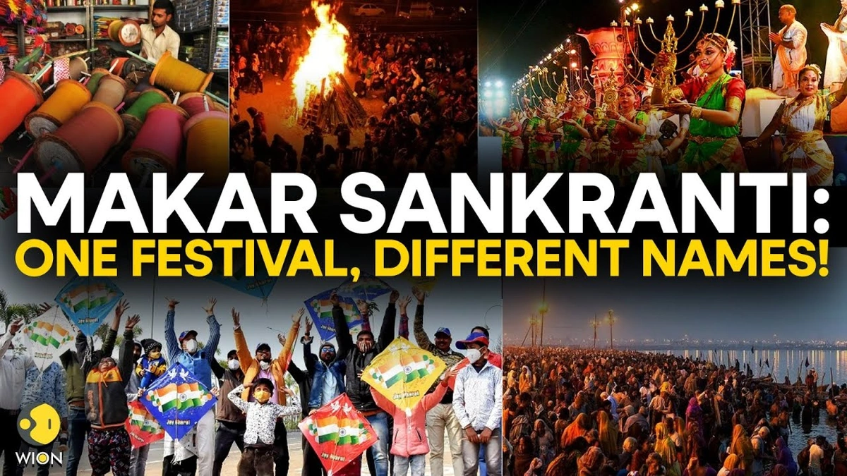 FAQ | Your Festival Queries Answered