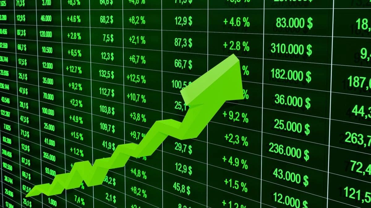 Beyond the Hype | Nvidia's Fundamentals
