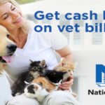 Affordable Nationwide Pet Insurance Protect Your Pet in 2025.