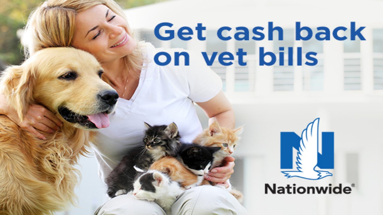 Affordable Nationwide Pet Insurance Protect Your Pet in 2025.