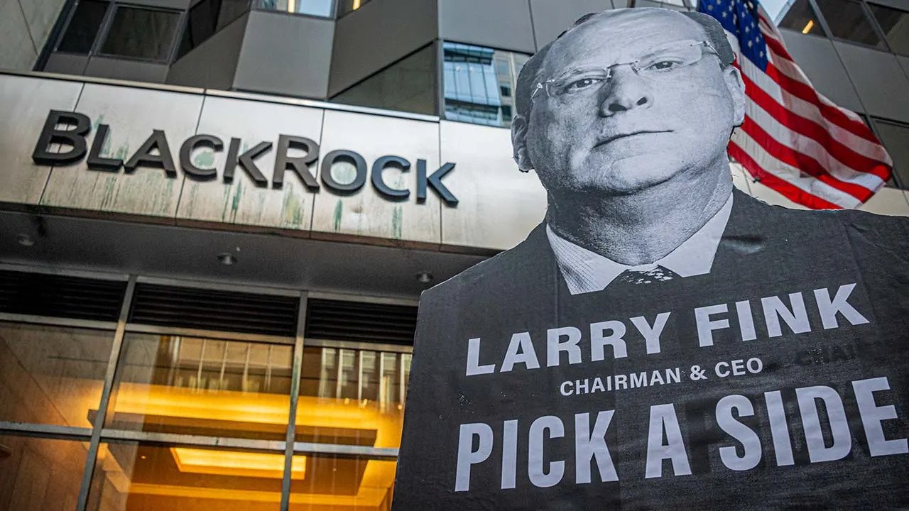 BlackRock Investment Management 2025 Global Asset Leader.